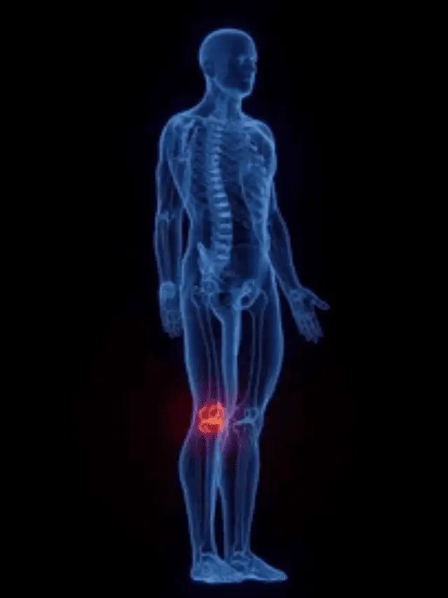 Patient Medical Education Animation Studio in India
